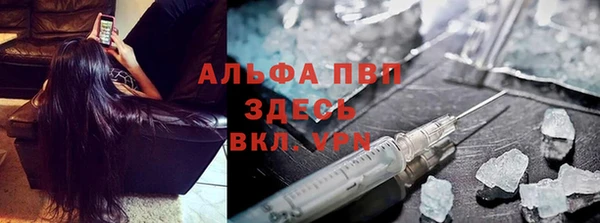 твердый Осташков