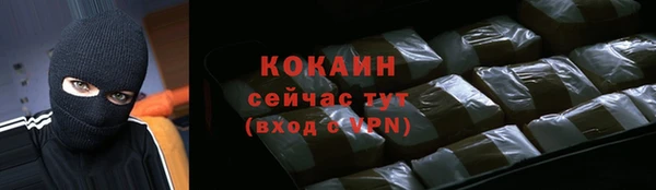твердый Осташков