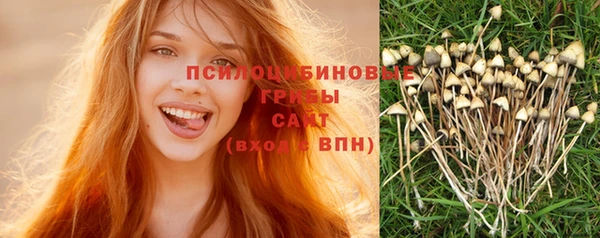 шишки Остров