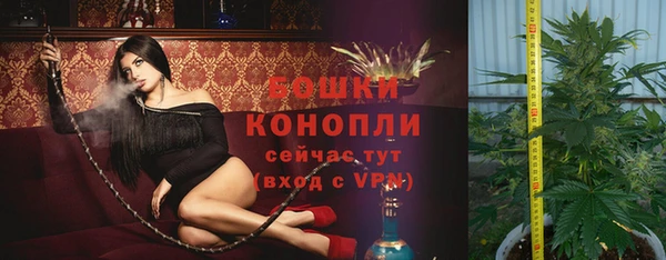 шишки Остров
