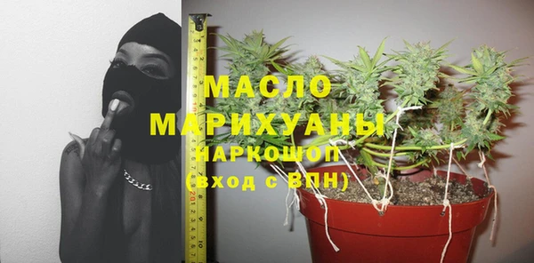 индика Нягань