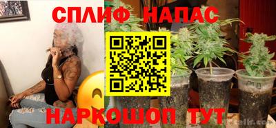 PSILOCYBIN Заволжье