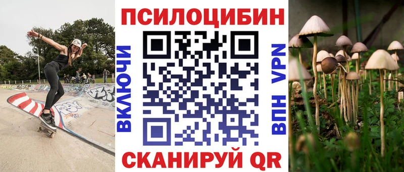 магазин наркотиков Томск Псилоцибиновые грибы Cubensis