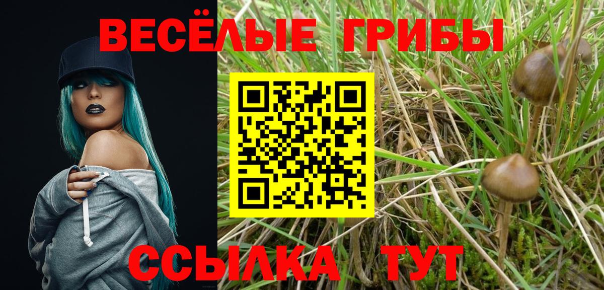 Галлюциногенные грибы мухоморы  купить   Томск  Вход с VPN 